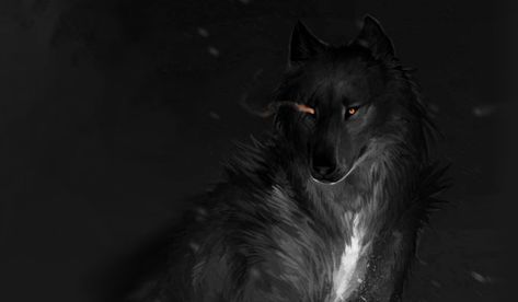 The wolf wallpaper Art Wolf Background Desktop, Wolf Wallpaper For Laptop, Wolf Wallpaper Laptop, Wolf Laptop Wallpaper, Wolf Pc Wallpaper, Wolf Wallpaper 1920x1080, Wolf Wallpaper Desktop, 2880x1800 Wallpaper, 4k Ultra Hd Wallpapers