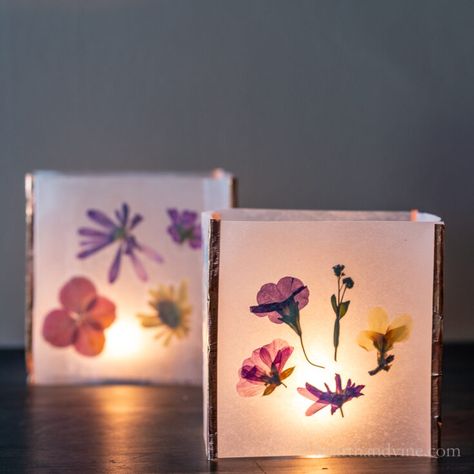 Diy Flower Lanterns, Pressed Flower Gift Ideas, Diy Paper Lanterns Hanging, Diy Gemstone Necklace, Botanical Crafts, Pressed Flower Lanterns, Diy Luminaries, Creative Homemade Gifts, Press Flowers