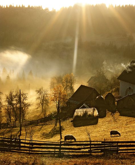 Country Barns, Country Scenes, Old Barns, Old Farm, Country Farm, The Grass, Macedonia, The Ranch, Country Life