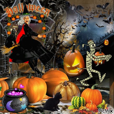 3513336_86b9a.gif (GIF Image, 500 × 500 pixels) Happy Halloween Video, Happy Halloween Cards, Happy Halloween Gif, Happy Halloween Quotes, Happy Halloween Funny, Happy Halloween Pictures, Photo Halloween, Happy Halloween Banner, Happy Halloween Signs