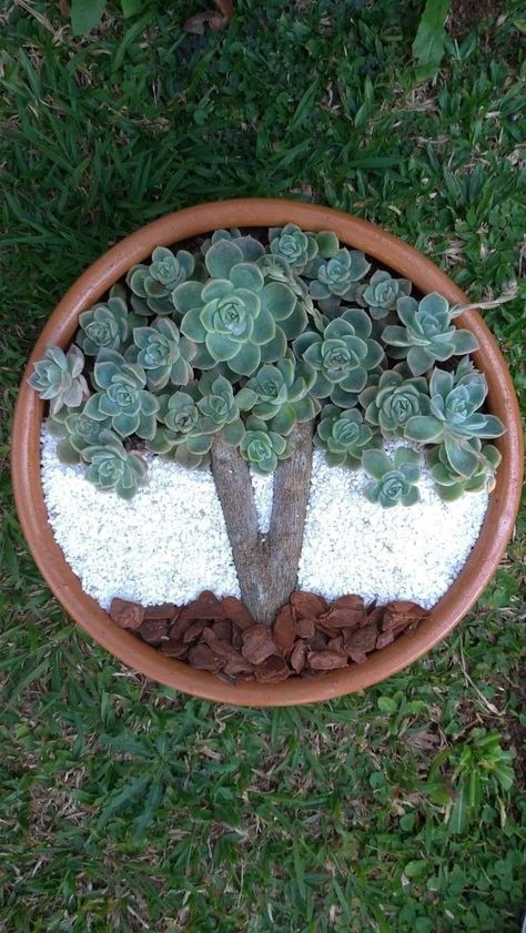 Kaktus Dan Sukulen, Succulent Garden Landscape, Dekoratívne Vence, Fairy Garden Pots, Small Backyard Landscaping Designs, Succulent Planter Diy, Succulent Garden Design, نباتات منزلية, Fairy Garden Designs