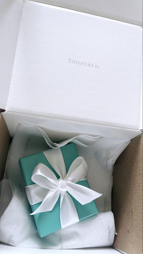 Tiffany And Co Box Gift, Tiffany Box Aesthetic, Bday Vibes, 25th Bday, Luxury Birthday Gifts, Dream Necklace, Packaging Idea, Tiffany Box, Luxury Birthday