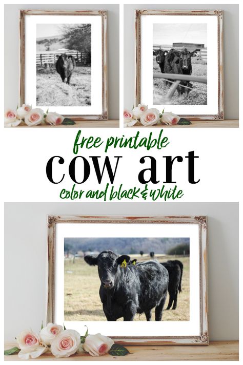 Free Printable Cow Art - five photos, color and black and white to choose from. #freeprintable #freeprintables #printablewallart #freeprintablewallart #cowart #cowprintable #cowprint #cowartprint #cowwallart #freewallart #wallart Wall Art Words, Printable Cow, Cow Wall Decor, Farm Prints, Cow Prints, Cow Art Print, Art Words, Free Wall Art, Cow Wall Art