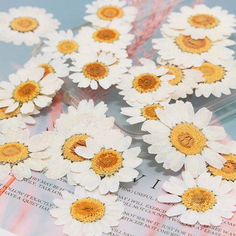 Stickers Makeup, Nails Pendant, Dried Pressed Flowers, Flower Flat, Resin Jewelry Diy, Dried And Pressed Flowers, Making Greeting Cards, Flowers White, White Daisy