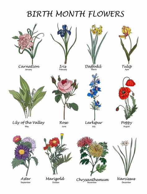 Birth Month Flowers: What Is My Birth Flower? Wreath Arrangements, Birth Month Symbols, Birthmonth Flower, February Flower, Flowers Of The Month, July Flower, Birthday Month Flowers, December Birth Flower, May Flower