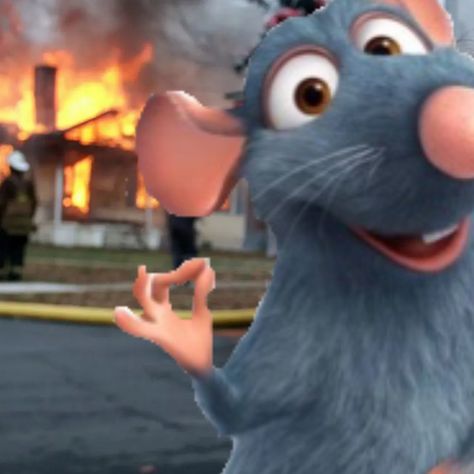 Disney Reaction Pics, Ratatouille Pfp, Ratatouille Wallpaper, Remy The Rat, Remy Ratatouille, Meme Photo, Ratatouille Disney, Wallpaper Pc, Dear Diary