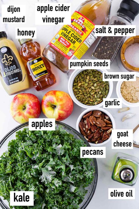 Kale Apple Salad! This easy and fall-inspire kale apple salad is perfect for the season. Packed with soft kale, sweet honeycrisp apples, pecans, and a homemade apple cider vinaigrette. Autumn Kale Apple And Quinoa Salad, Fall Healthy Salads, Kale Apple Goat Cheese Salad, Kale Apple Cranberry Salad, Kale Apple Pecan Salad, Kale Salad Apple, Kale Apple Walnut Salad, Kale Christmas Salad, Kale Salad Lunch