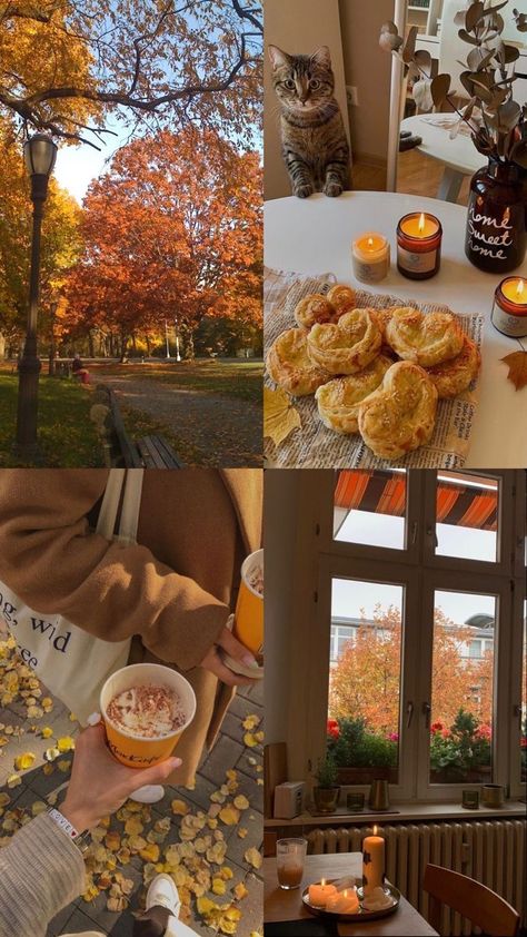 Fall Vision Board, Autumn Moodboard, Autumn Mood Board, Fall Moodboard, Fall Aesthetics, Leaves Falling, Fall Mood Board, Autumn Magic, Fall Things