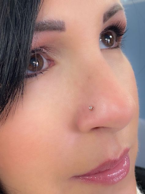 Nose Piercing Stud Diamond, Pendent Designs, Small Nose Studs, Nose Jewels, Cute Nose Piercings, Piercing Stud, Nose Ring Jewelry, Nose Piercing Stud, Iranian Beauty