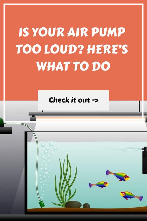 Is your air pump too loud? Here's what to do. Check it out. Too Much Noise, Too Loud, Chimney Breast, Small Cushions, Foam Blocks, Water Bubbles, Small Blankets, Fresh Water Tank, Large Jar