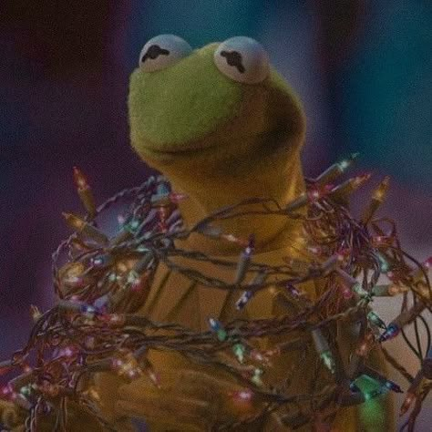 Kermit Christmas, Have A Holly Jolly Christmas, Christmas Pfp, Holly Jolly Christmas, Jolly Christmas, The Frog, Holly Jolly, Christmas Lights, Merry Christmas