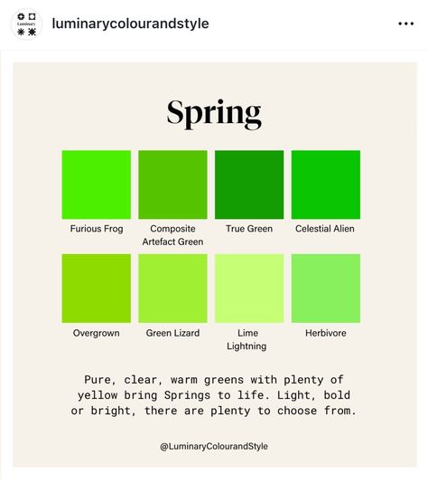 Best Green Colors, Skin Colour Palette, Spring Clothes Aesthetic, True Spring Makeup, Bright Spring Clothes, Spring Color Season, Spring Color Analysis, Warm Spring Palette, True Spring Color Palette