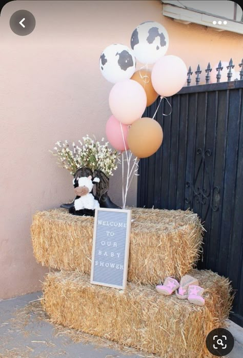 Stuffed Animal Petting Zoo, Cowboy Or Cowgirl Gender Reveal Centerpieces, 1st Rodeo Birthday Decorations, Vaquera Gender Reveal, Cowgirl Style Outfits Pregnant, 1st Rodeo Centerpieces Pink, Sweet 16 Party Ideas Cow Theme, Gender Reveal Farm Ideas, Cow Print Centerpiece Ideas