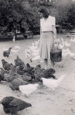 I do not look like this feeding our chickens!  LOL Chicken Lady, Chickens And Roosters, Down On The Farm, Vintage Farm, Raising Chickens, Farm Girl, Chickens Backyard, Vintage Pictures, Vintage Photographs