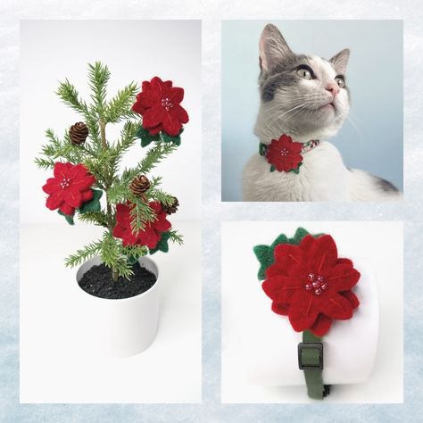 Each Poinsettia Collar Accessory is handcrafted with love by women artisans and made from 100% organic wool and dyes 🎁 Best Cat Toys, Collar Accessory, Cat Clothing, Cutest Cat, Cat Trees, Best Cat, Cat Tree, Cat Clothes, Women Artisans