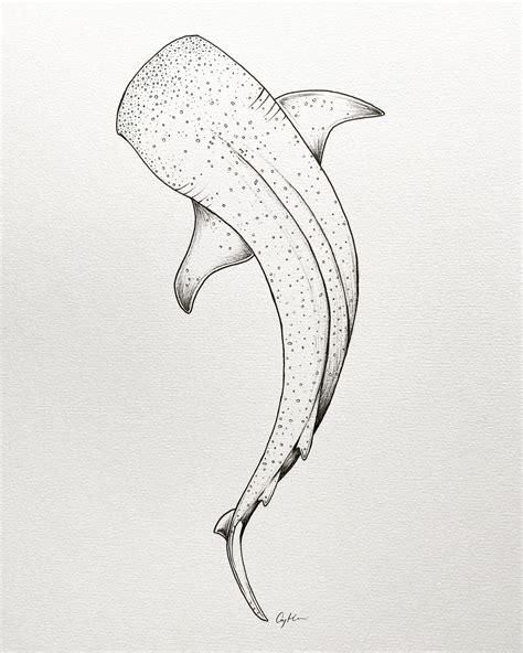 Shark Drawing Tattoo, Whale Shark Drawing, Drawing Whale, Shark Outline, Whale Shark Tattoo, Drawing Tattoo Ideas, Bali Tattoo, Ocean Drawing, Matching Best Friend Tattoos