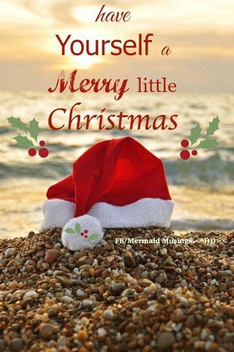 Christmas In July Quotes, Merry Christmas Beach, Merry Christmas Meme, Christmas Meme, Best Christmas Wishes, Beach Christmas Ornaments, July Quotes, Welcome New Members, Christmas Beach