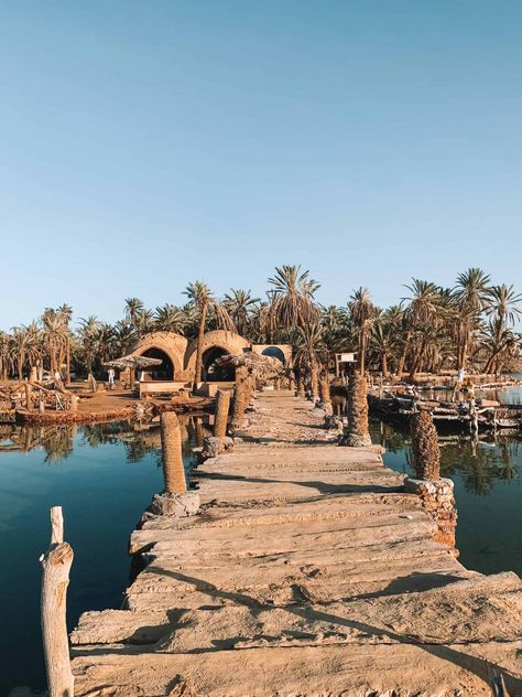 The Magical Siwa Oasis, Egypt - The Daydream Drifters Siwa Oasis Egypt, Siwa Egypt, Siwa Oasis, Cutlery Set Stainless Steel, Explore Travel, Middle East, Egypt, Oasis, Travel Guide