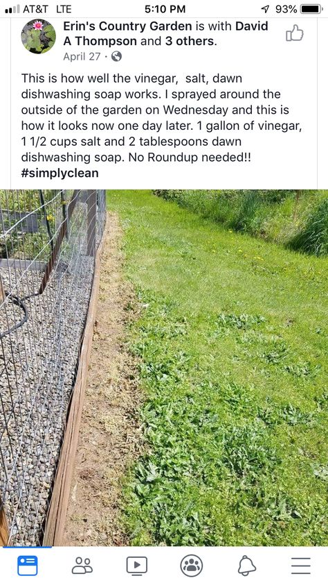 Home Vegetable Garden, Garden Yard Ideas, Epsom Salt, Veggie Garden, Lawn And Garden, Dream Garden, Yard Landscaping, Garden Planning, 2 Cups