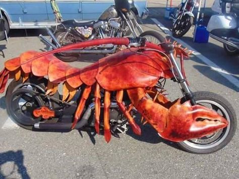 When a lobster lover buys a motorcycle ha! Funny Motorcycle, Motorcycle Pictures, Creative Profile Picture, Hem Blouse, Motorcycle Harley, Motorcycle Style, Weave Style, Motorcycle Bike, Super Bikes