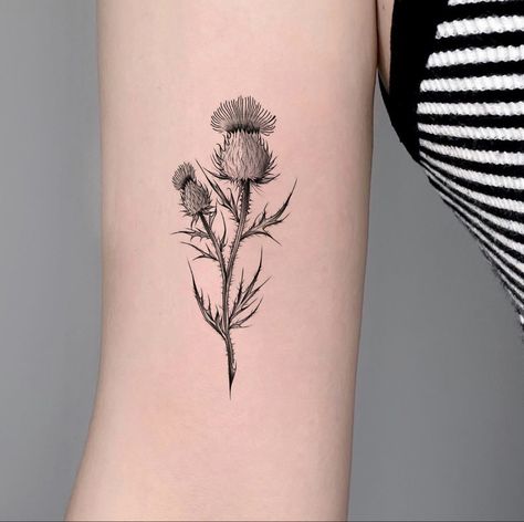 Thistle Tattoo Black, Evan Tattoo, Thistle Flower Tattoo, Just Breathe Tattoo, Scotland Tattoo, Scottish Thistle Tattoo, Scottish Tattoos, Tattoo Meaningful, Thistle Tattoo