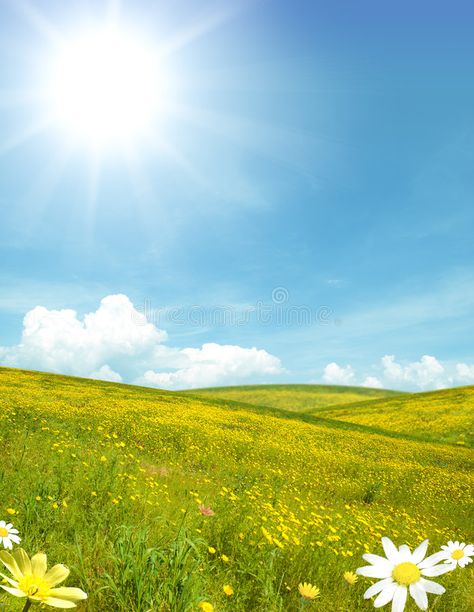 Sunny landscape. Sunny field with yellow flower , #Affiliate, #landscape, #Sunny, #field, #flower, #yellow #ad Sunny Landscape Painting, Sunshine Images, Sunny Painting, Sunny Background, Yellow Flower Field, Landscape Studies, Sunny Images, Sunny Field, Sunny Nature