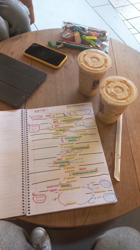 Biochemistry notes on a table, with frozen coffees on the table next to the notes. Coffee Shop Revision, Coffee School Aesthetic, Coffee Shop Homework Aesthetic, Studying In A Coffee Shop, Study At Coffee Shop, Studying Coffee Shop, Coffee Shop Studying Aesthetic, Coffee Study Aesthetic, Romanticizing University