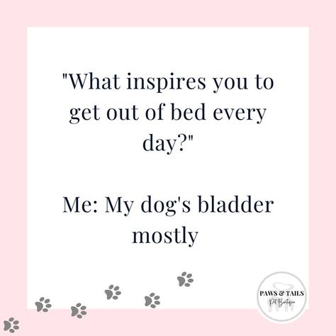 Getting Out Of Bed, What Inspires You, Animal Quotes, Dog Quotes, Animal Lover, Dogs, Quotes