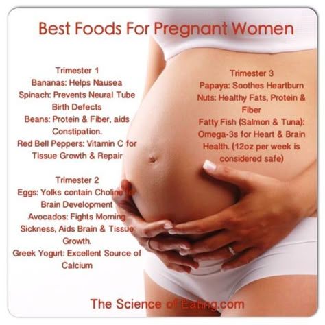 Food For Pregnant Women, Quotes Bff, Pregnancy Eating, Healthy Pregnancy Food, Baby Trivia, Pregnancy Week, Pregnancy Help, Healthy Pregnancy Tips, Pregnancy Info