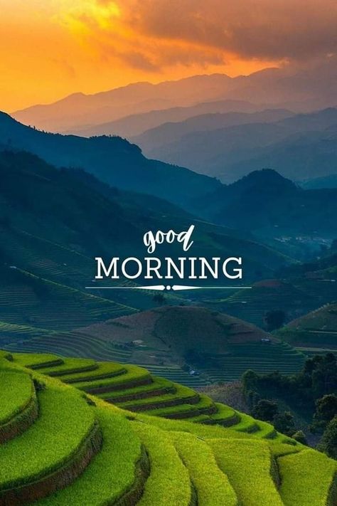 Good Morning Scenery Images, Good Morning Images Hd Beautiful, Good Morning Hd Images, Morning Scenery, Good Morning Post, Morning Photo, Good Morning Nature, Good Morning Flowers Quotes, Good Morning Images Hd