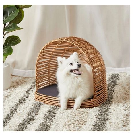 Pet Beds Cat, Cat Accessories, Pet Furniture, Foam Mattress, Wicker Chair, Pet Supplies Dog, Pet Bed, Cat Toys, Dog Bed