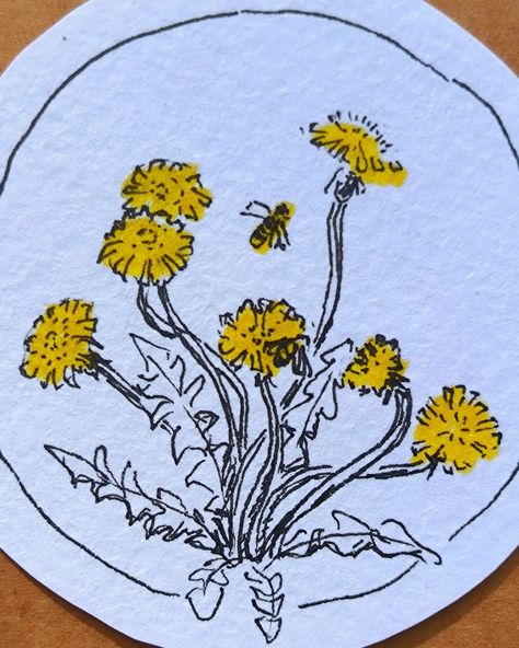 151/366 Walking with my kids a lot, so doing my daily art outside 😊 Like this dandelions sketched from life. How To Draw A Dandelion, How To Draw Dandelion, Dandelion Art For Kids, Dandelion Watercolor, Dandelion Drawing, Art Outside, Dandelion Painting, Sketches Drawing, Dandelion Art