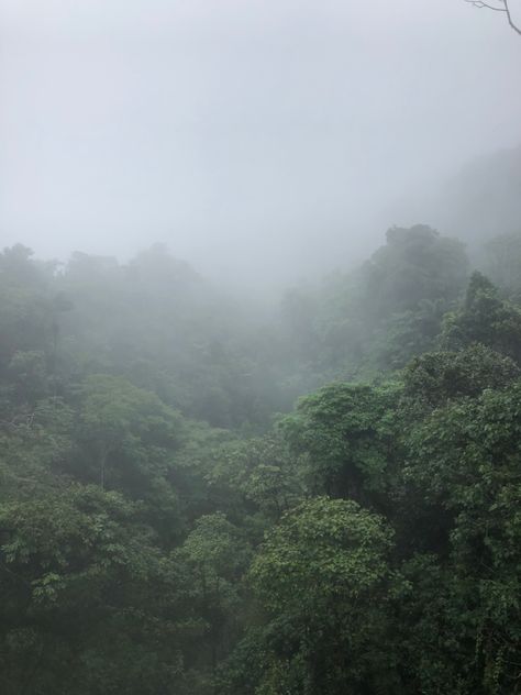 rainforest Jungle Photography, Cloudy Weather, Healthy Girl, Cloudy Day, South American, Green Aesthetic, More Pictures, Rainy Day, Costa Rica