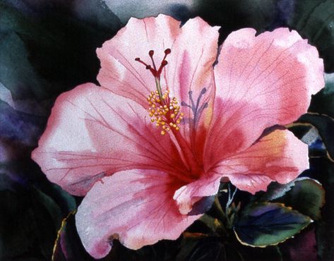 Peggy Flora Zalucha   WATERCOLOR Hibiscus Garden, Rose Of Sharon, Botanical Painting, Arte Floral, Hibiscus Flowers, Floral Botanical, Abstract Flowers, Floral Painting, Watercolor Flowers