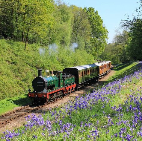 11 of the most breathtaking train journeys across the UK Trains Photography, Steam Trains Photography, Steam Trains Uk, Heritage Railway, Umbrella Decorations, Snowdonia National Park, Steam Railway, Wish I Was There, Dream Day