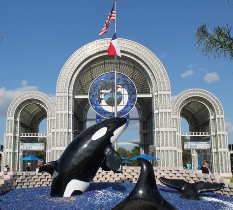 SeaWorld San Antonio, Tx July 2013 Sea World San Antonio, Seaworld San Antonio, Water Parks, Family Trips, Amusement Parks, Thrill Ride, Killer Whales, Theme Parks, Sea World