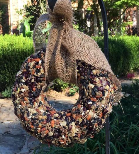 How-To Build a Bird Seed Wreath — Bee Better Naturally with Helen Yoest Bird Seed Wreath Recipe, Bird Seed Crafts, Bird Seed Wreath, Birdseed Wreath, Animal Baking, Seed Ornaments, Artsy Projects, Make A Bird Feeder, Bird Feeder Craft