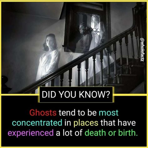 Did You Know Horror Facts, Scary Facts Horrifying True, Ghost Facts, Paranormal Facts, Horror Facts, Wierd Facts, Psychological Facts Interesting, Interesting Science Facts, Scary Facts