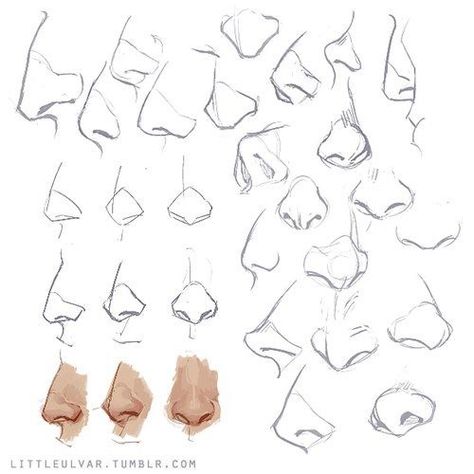 얼굴 드로잉, Nose Drawing, 얼굴 그리기, Anatomy Sketches, Drawing Style, 인물 드로잉, Anatomy Drawing, Figure Drawing Reference, Body Drawing