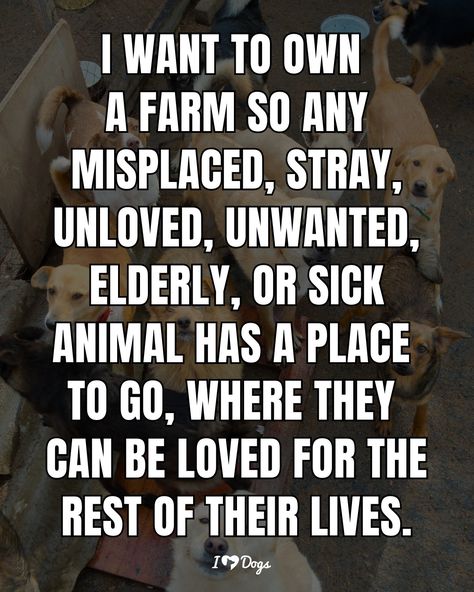 I Support Animal Rescue Animal Rescue Quotes, Rescue Dog Quotes, Rescue Quotes, Animal Lover Quotes, Dog Rescue Stories, Animal Rescue Stories, Mottos To Live By, True Quotes About Life, Happy Hippie