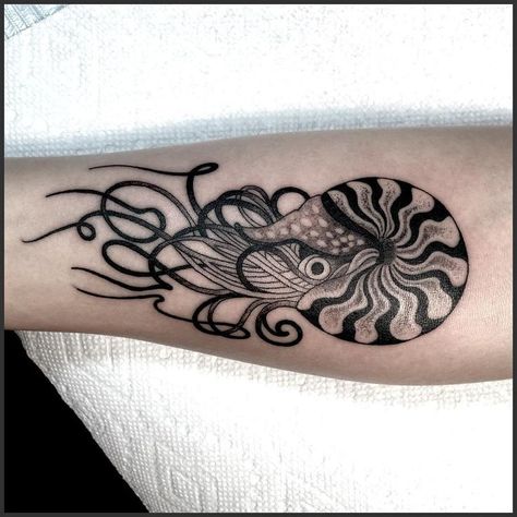 Nautilus Tattoo, Marine Tattoo, Random Tattoos, Black Line Tattoo, Chest Tattoo Ideas, Art Nouveau Tattoo, Nouveau Tattoo, Chest Hair, Dot Tattoos