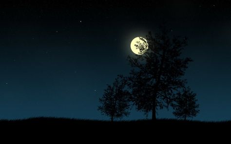 Moon silhouette landscape wallpaper Night Sky Wallpaper Hd 1080p, Sky Wallpaper Hd 1080p, Night Sky Wallpaper Hd, Nature Wallpaper Hd 1080p, Hd Dark Wallpapers, Moon Wallpaper, Nature Hd, Night Sky Wallpaper, Vintage Moon