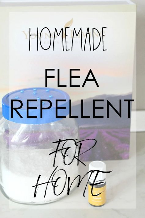 Flea Repellent For Home, Homemade Flea Killer, Natural Flea Killer, Flea Spray For House, Homemade Flea Spray, Flea Powder, Flea Removal, Flea Remedies, Flea Repellent