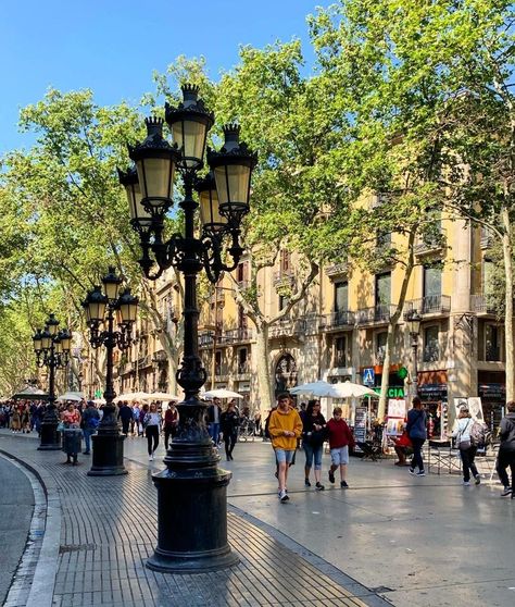 Visit Barcelona on Instagram: “In just one week La Rambla, one of the most charming streets in the city, will be filled with books and roses to celebrate the most…” Books And Roses, Catalan Modernism, Barcelona Streets, Barcelona Photography, Barcelona Aesthetic, Streetscape Design, Picasso Museum, Barcelona Street, Visit Barcelona