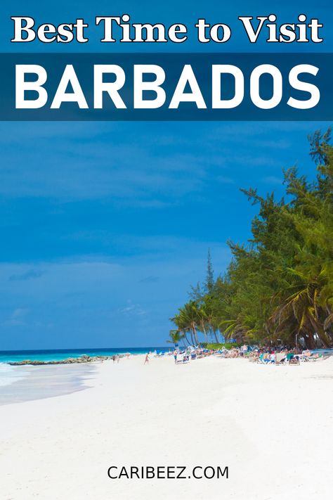 Best time to visit Barbados Things To Do In Barbados, Barbados Vacation, Barbados Beaches, Barbados Travel, Caribbean Vacation, Caribbean Destinations, Tropical Vacations, Caribbean Vacations, Caribbean Travel