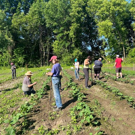 Summer's in Vermont are truly extraordinary. To celebrate the unofficial start of Summer, we're closing our doors so that we can get outside and volunteer! You'll find our teams down at the Intervale Center planting trees at the Conservation Nursery, weeding the Community garden, and harvesting veggies at the People's Farm! Our company-wide volunteer day is one more way we're helping restore and strengthen our communities and preserve and protect our environment. Please note that our retail ... Farm Volunteering, People Planting Trees, Volunteering Aesthetic, Sea Club, Community Volunteering, Planting Trees, Lake Champlain, Community Garden, Environmental Health