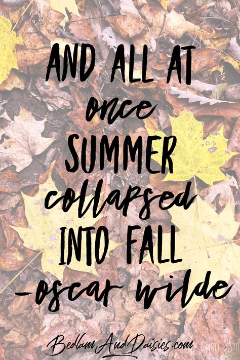 And all at once summer collapsed into fall. - Oscar Wilde  #quote #quotes #fall #autumn Summer Fades Into Fall Quotes, Chalkboard Sayings, Summer Collapsed Into Fall, Autumn Tattoo, Fall Beauty, Autumn Quotes, Autumn Beauty, Big News, Oscar Wilde