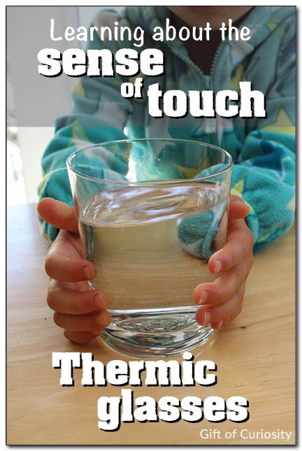 Explore the sense of touch focusing on temperature using DIY thermic glasses. Make four glasses with water of different temperatures. Have kids put the glasses in order from coolest to warmest. #fivesenses #handsonlearning #Montessori || Gift of Curiosity Leprechaun Rocks, Sensory Science, Inquiry Project, Leprechaun Gold, Senses Preschool, My Five Senses, Water Experiments, Science Centers, Senses Activities