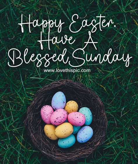 Happy Easter. Have A Blessed Sunday. quotes easter sunday happy easter easter sunday quotes easter morning quotes best easter quotes blessed sunday quotes easter picture quotes Happy Easter Gif, Easter Egg Pictures, Happy Easter Pictures, Easter Bunny Pictures, Happy Easter Quotes, Happy Easter Sunday, Sunday Pictures, Have A Blessed Sunday, Easter Quotes