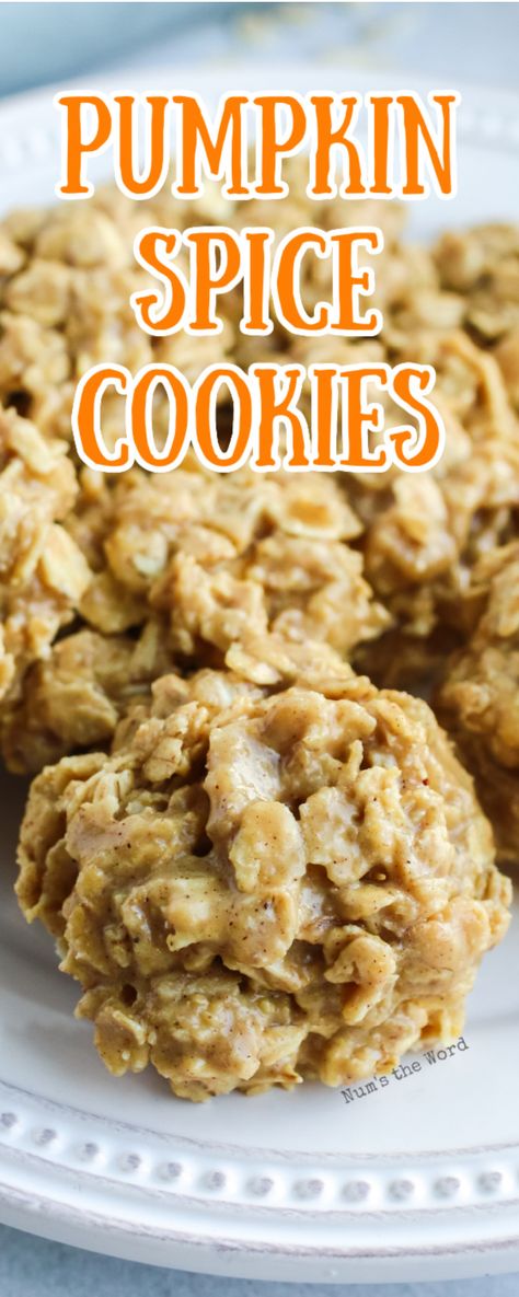 Fall No Bake Cookies, No Bake Pumpkin Cookies, Pumpkin Quickies, Pumpkin Christmas Cookies, Pumpkin Oatmeal Cookies Easy, Pumpkin Pie Oatmeal Cookies, Pumpkin Spice No Bake Cookies, Pumpkin No Bake, No Bake Cookies Pumpkin